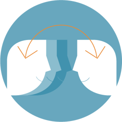 neurozone neuro-analytics partnership: Consultation neurozone neuro-analytics partnership: Consultation