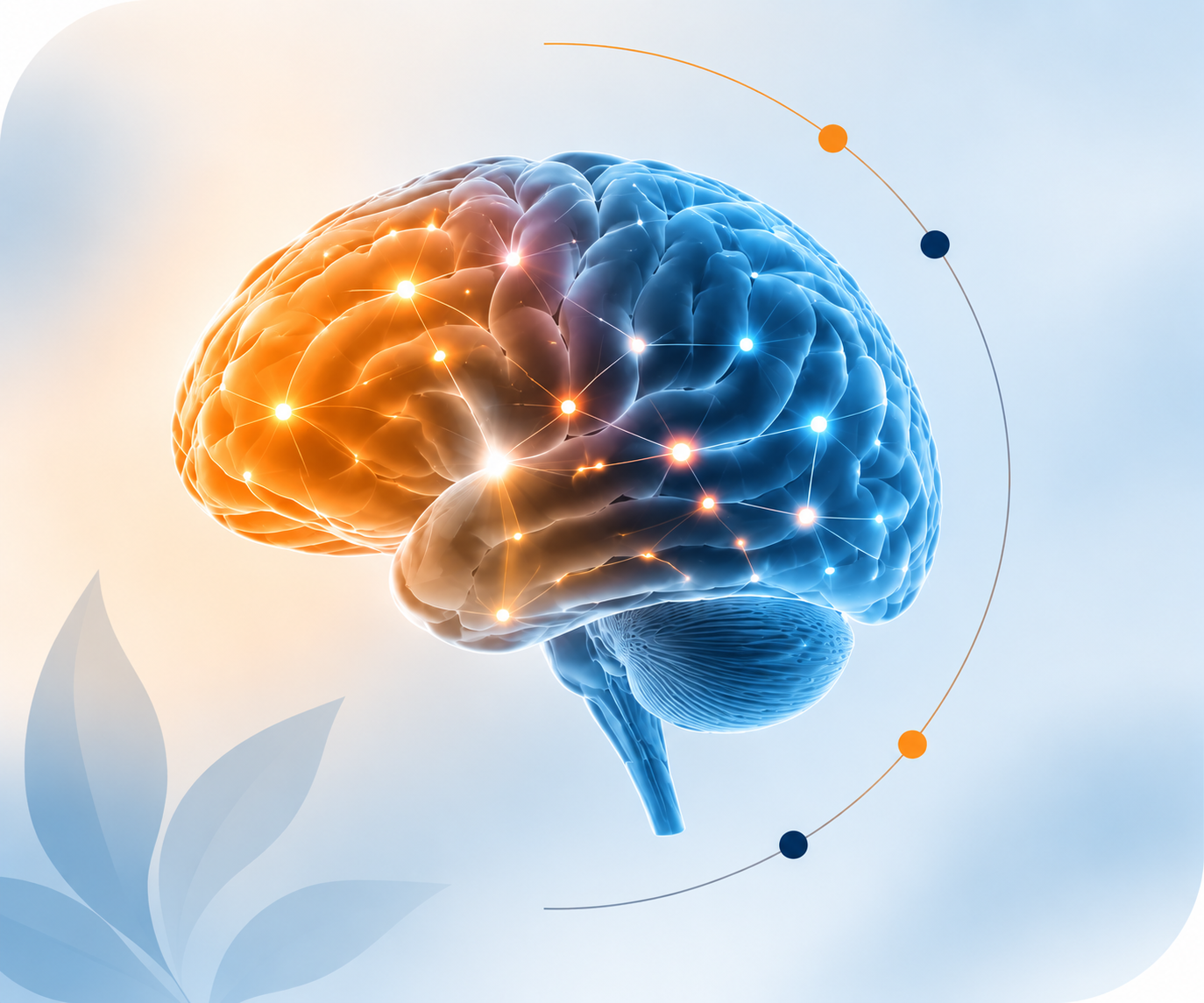 Brain Brain